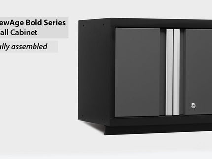 NewAge | Bold Series 24 in. Wall Cabinet