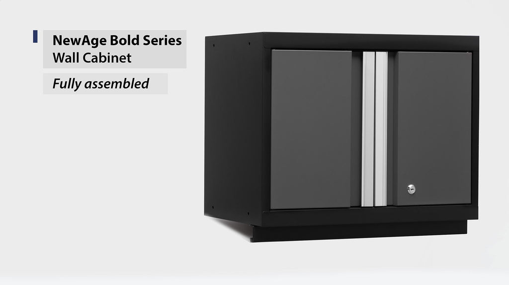 NewAge | Bold Series 24 in. Wall Cabinet