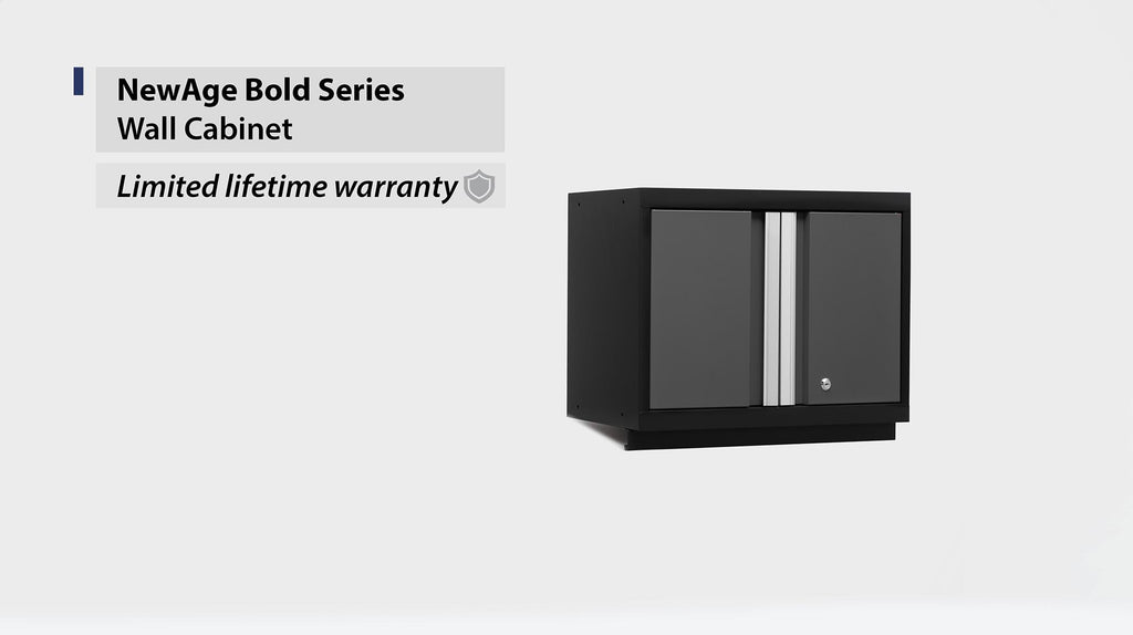NewAge | Bold Series 24 in. Wall Cabinet