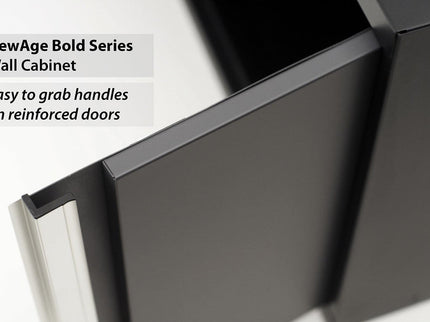 NewAge | Bold Series 24 in. Wall Cabinet