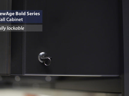 NewAge | Bold Series 24 in. Wall Cabinet