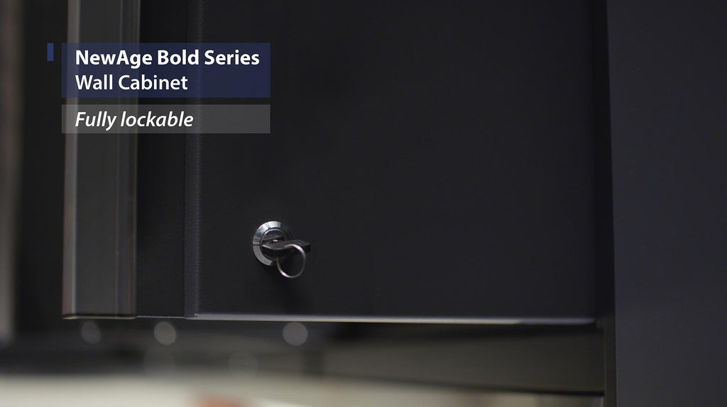 NewAge | Bold Series 24 in. Wall Cabinet