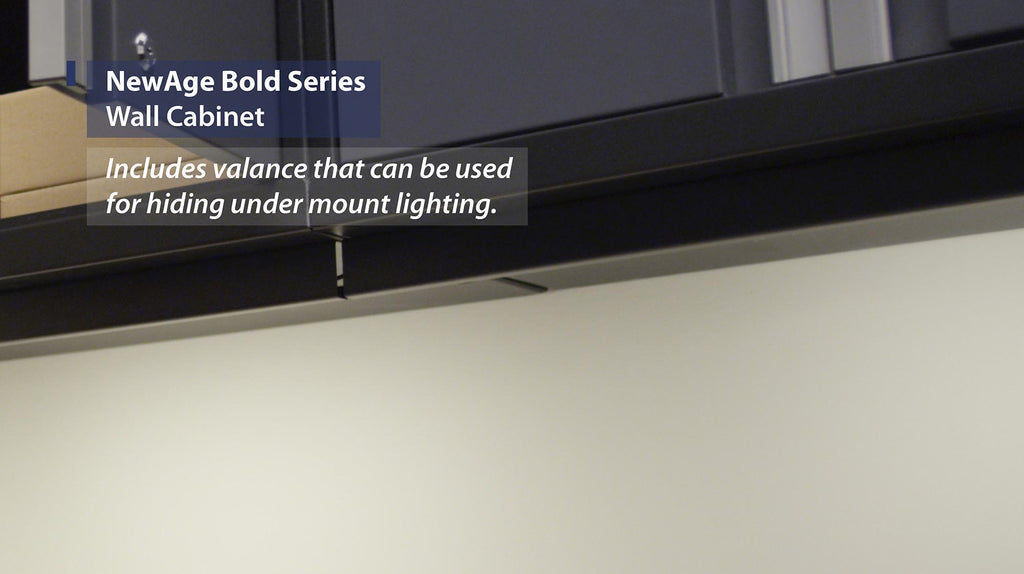 NewAge | Bold Series 24 in. Wall Cabinet