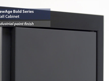 NewAge | Bold Series 24 in. Wall Cabinet