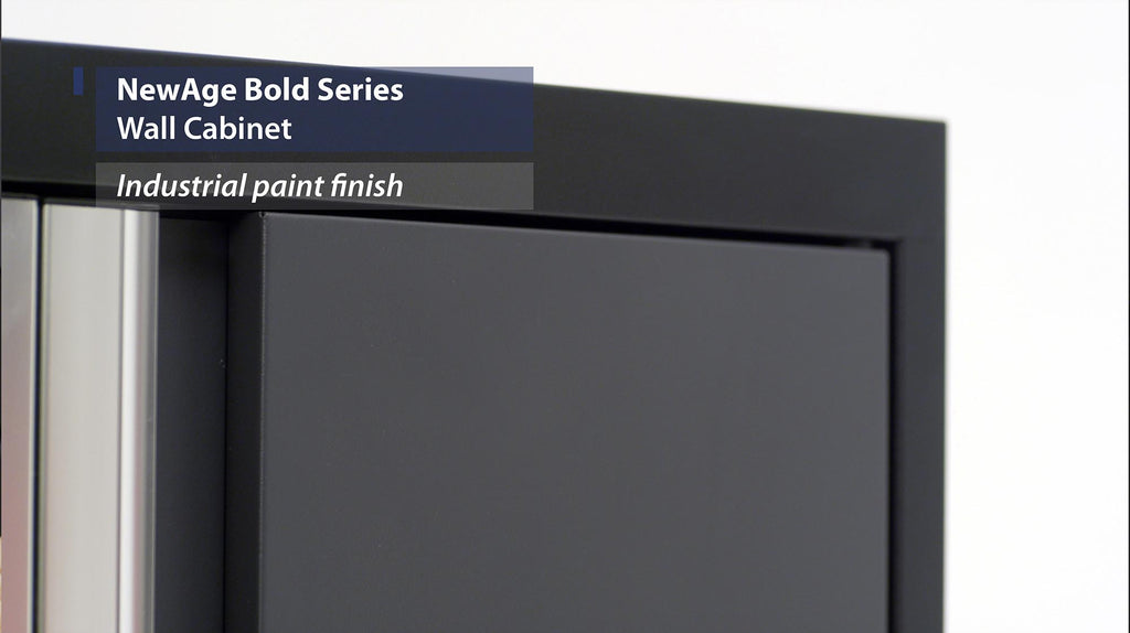NewAge | Bold Series 24 in. Wall Cabinet