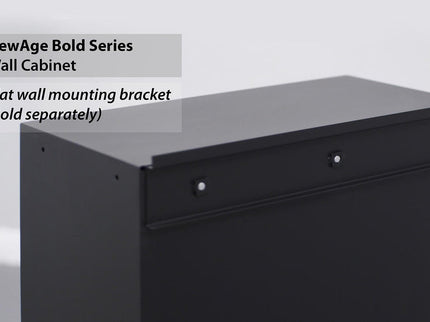 NewAge | Bold Series 24 in. Wall Cabinet