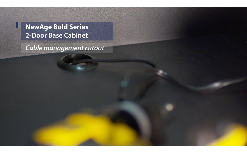 NewAge | Bold Series 2-Door Base Cabinet