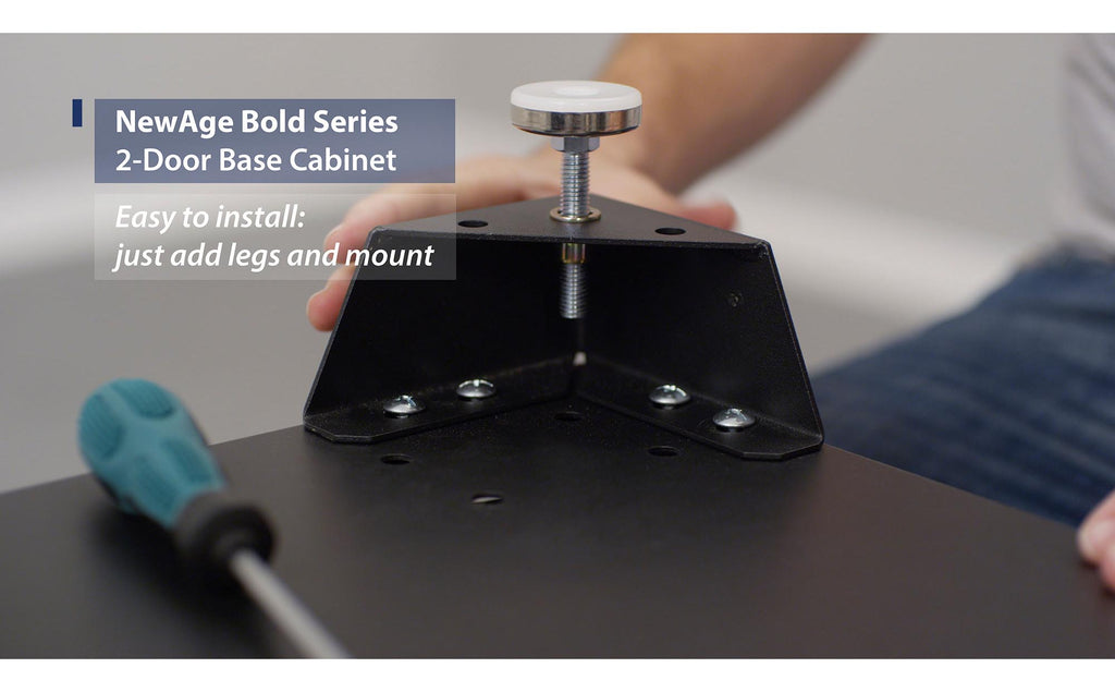 NewAge | Bold Series 2-Door Base Cabinet