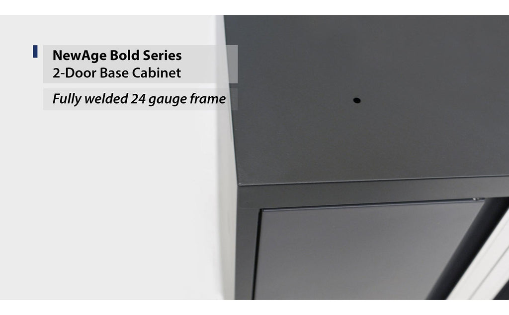 NewAge | Bold Series 2-Door Base Cabinet