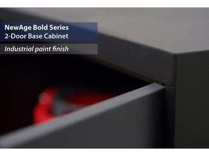 NewAge | Bold Series 2-Door Base Cabinet
