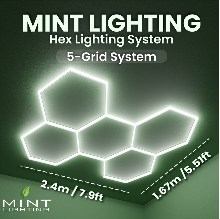MINT LIGHTING | LED HEXGRID LIGHTING SYSTEM - 2.06m x 2.9m / 5.51ft x 7.95ft - 5 Grid