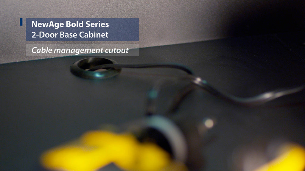 NewAge | Bold Series 2-Door Base Cabinet