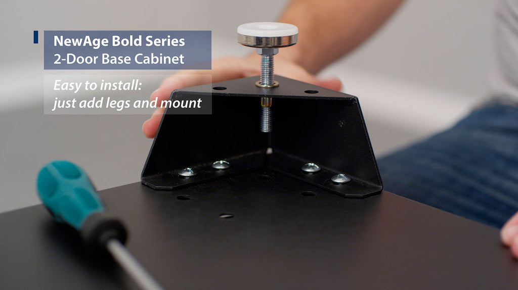 NewAge | Bold Series 2-Door Base Cabinet