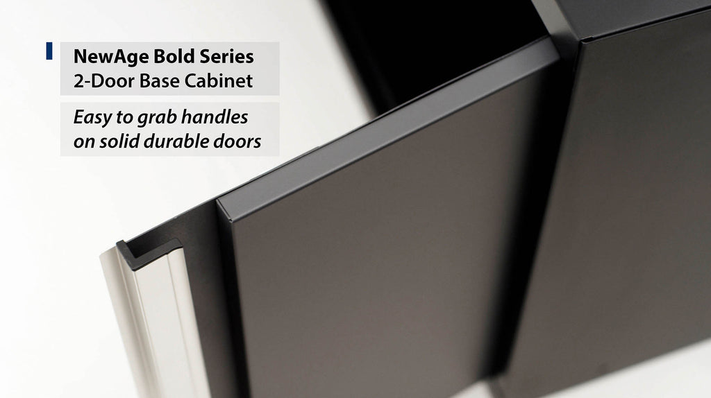 NewAge | Bold Series 2-Door Base Cabinet