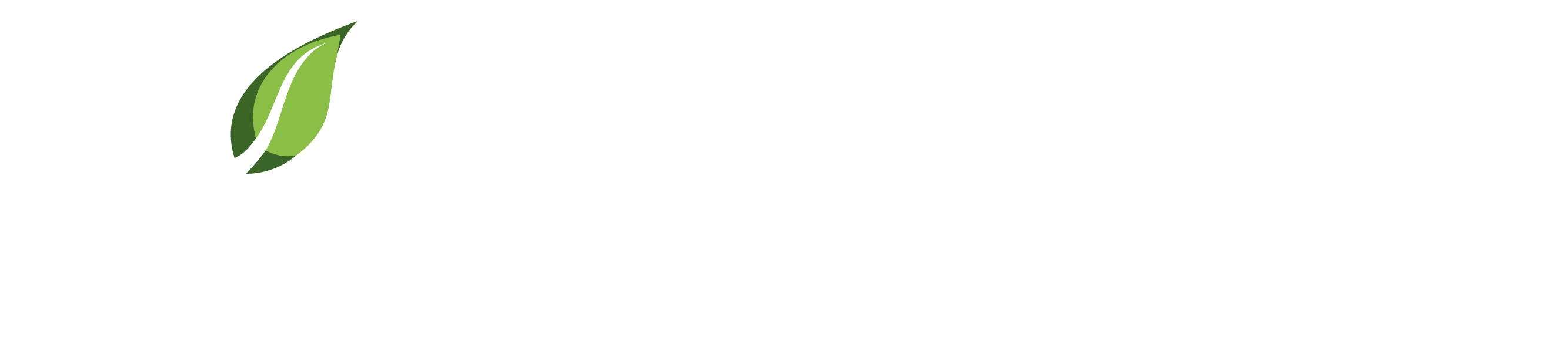 Mint Garage